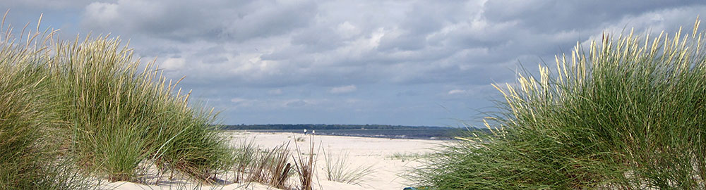 Mälarhusens Villaägareförening
